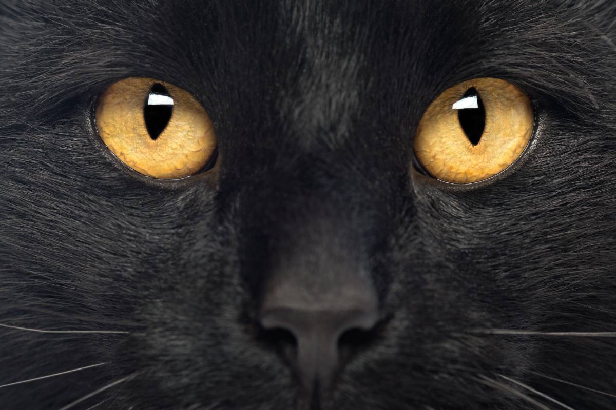 14 Superstitious Beliefs You Might Never Heard Of