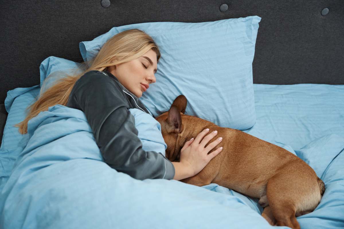 Calm young female wrapped in duvet dozing off in cozy bed with dog