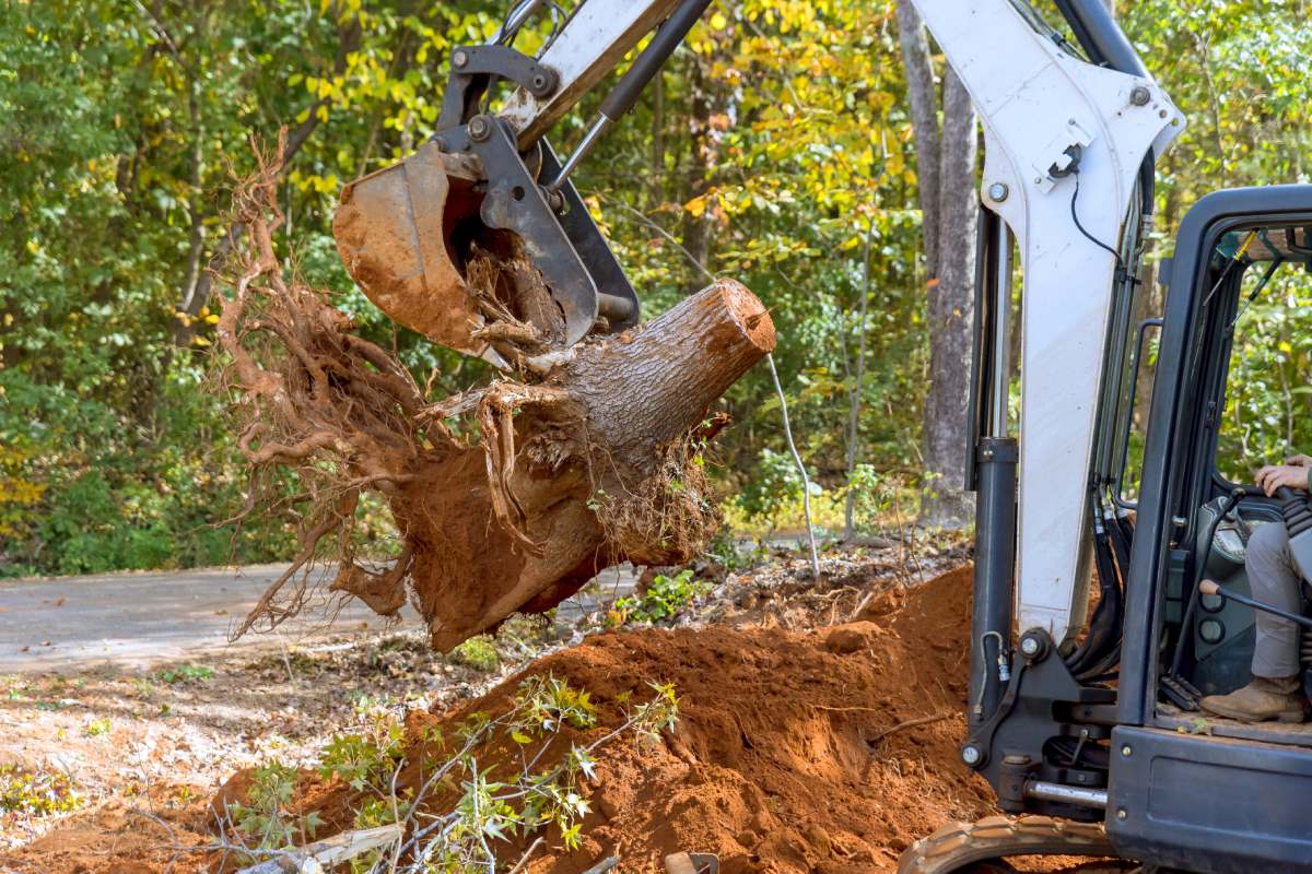 Utilizing skid steer tractor to remove roots and clear land for housing complex construction